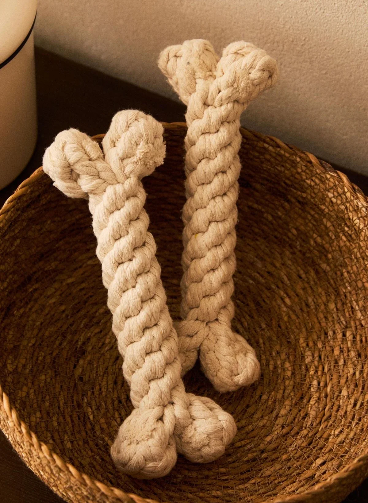 Interactive Rope Toy