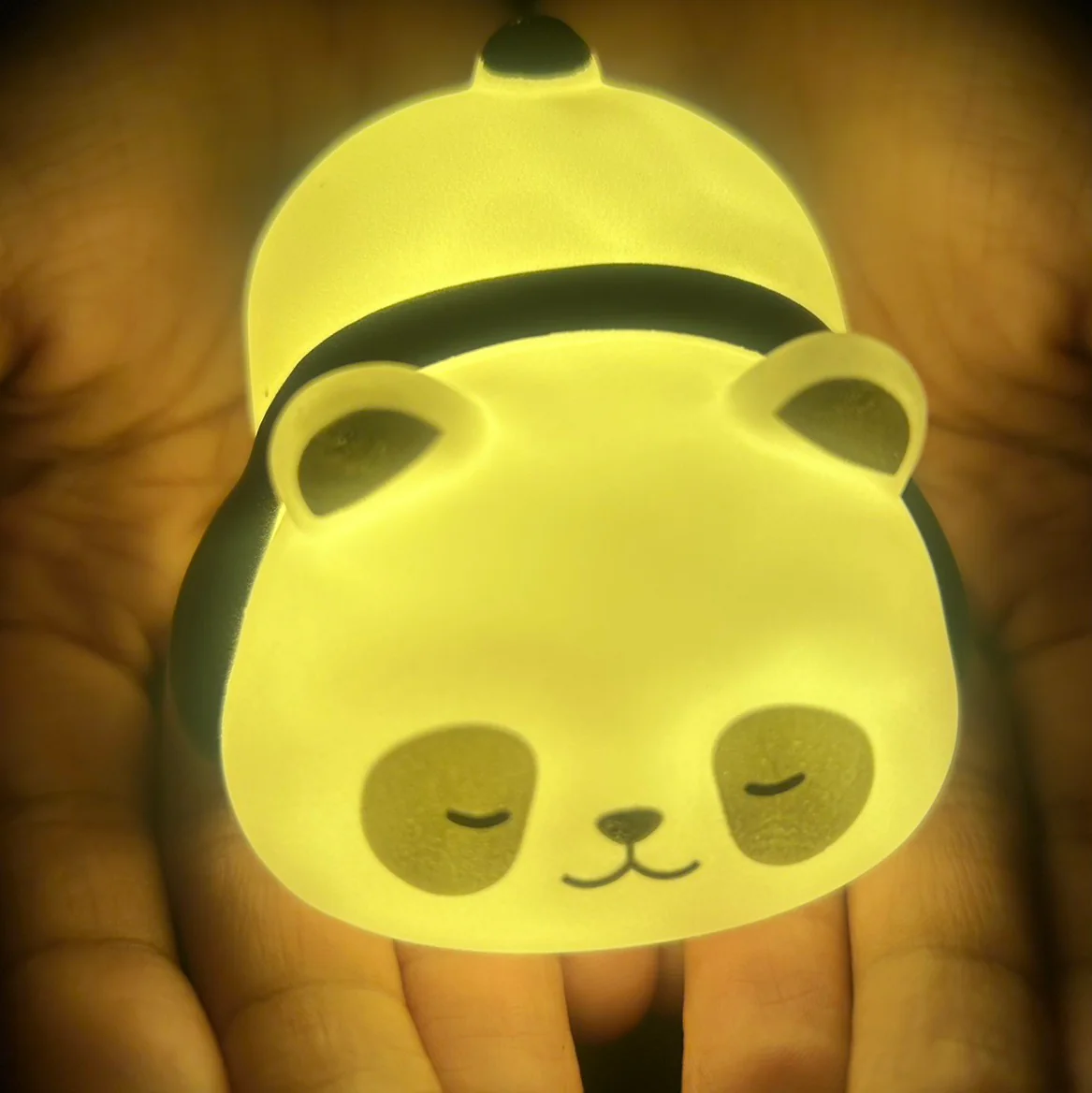 Sleeping panda