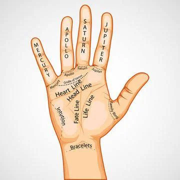 Palmistry And Face Reading Services