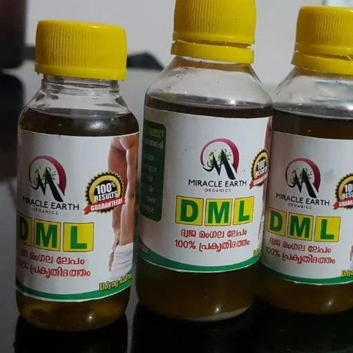 DML 1