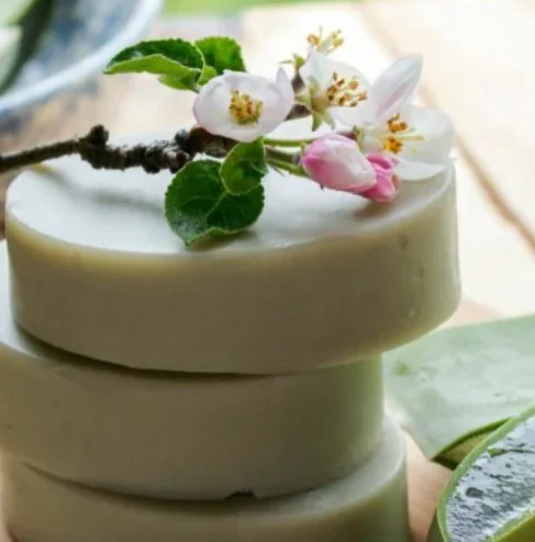 PureGlow: The Raw Aloe Vera Bar