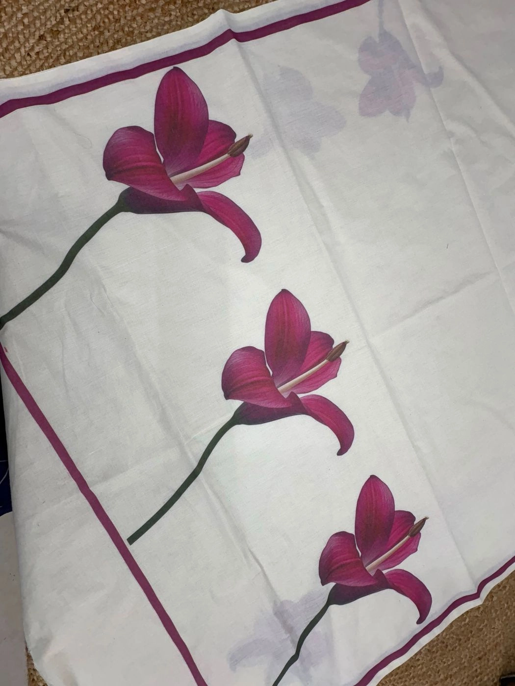 Kerala Cotton Saree 1