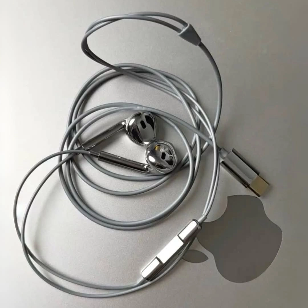 Chrome Wired Earbuds 1