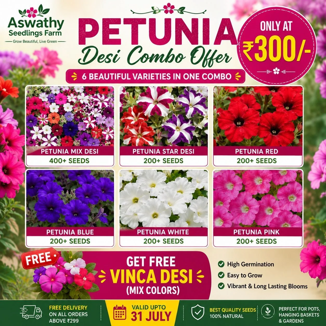 Petunia Desi Combo