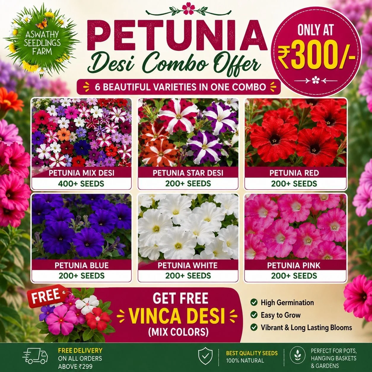 Petunia Desi Combo