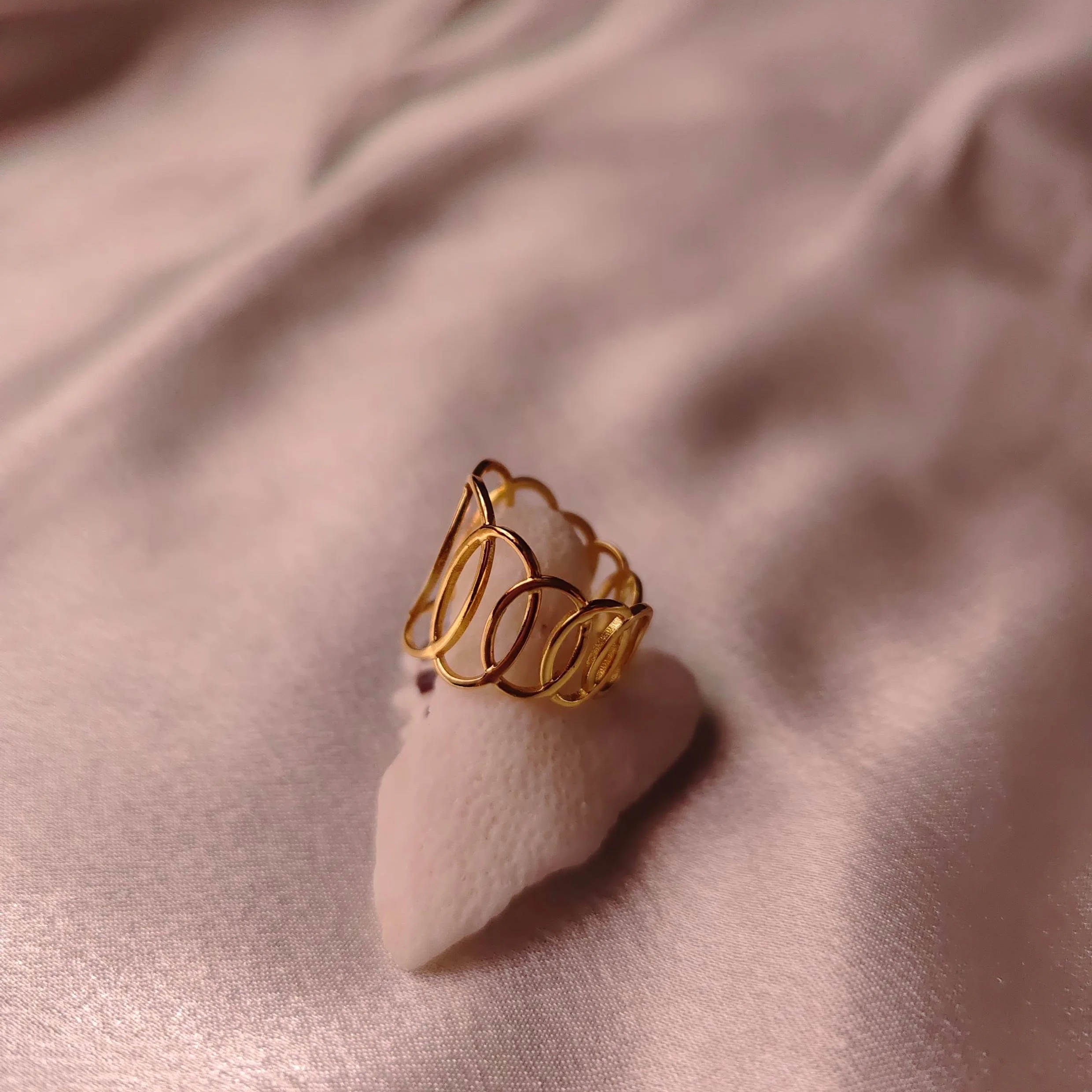 Circles around adjustable ring 2