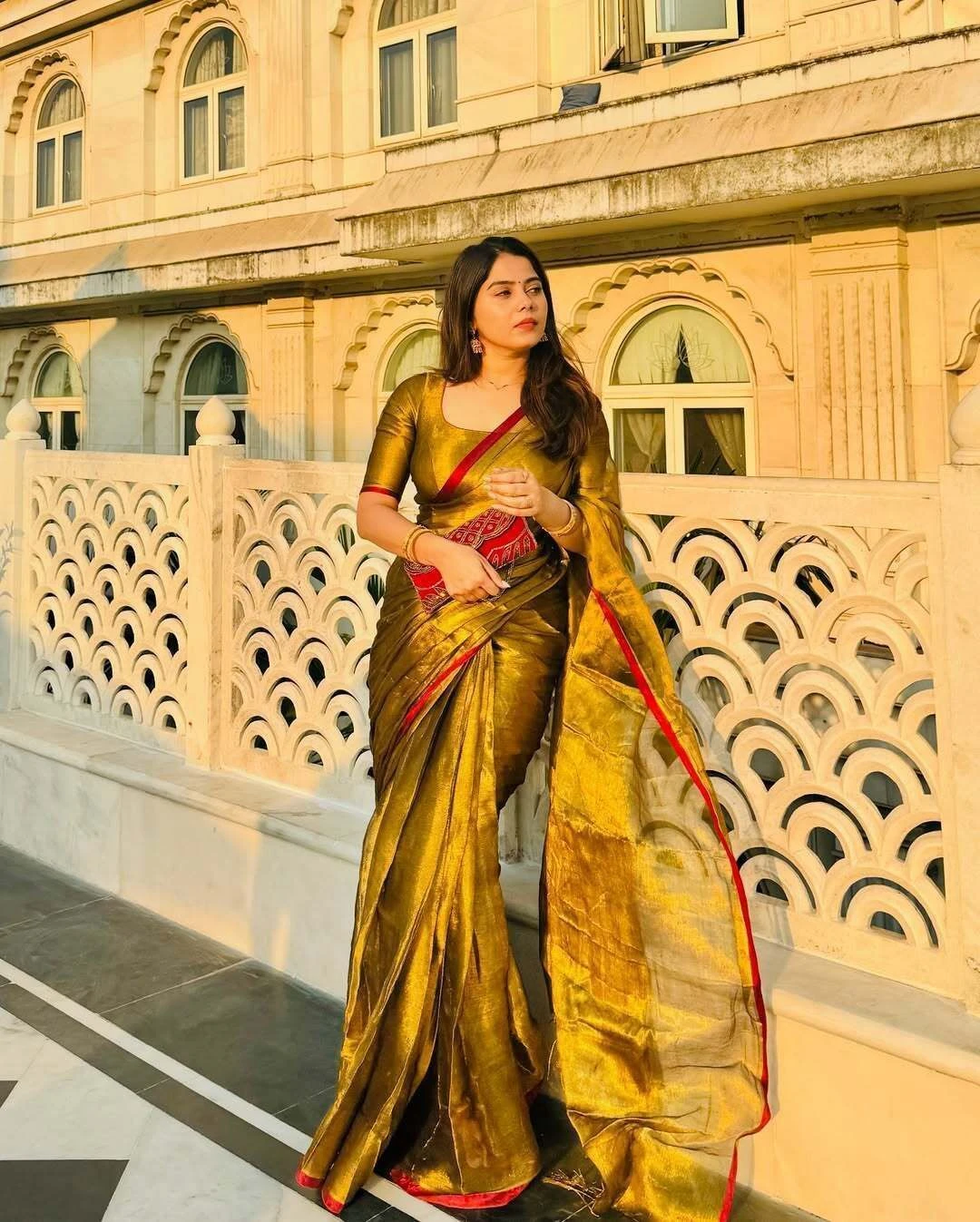 Red Border Golden Tissue Saree 2