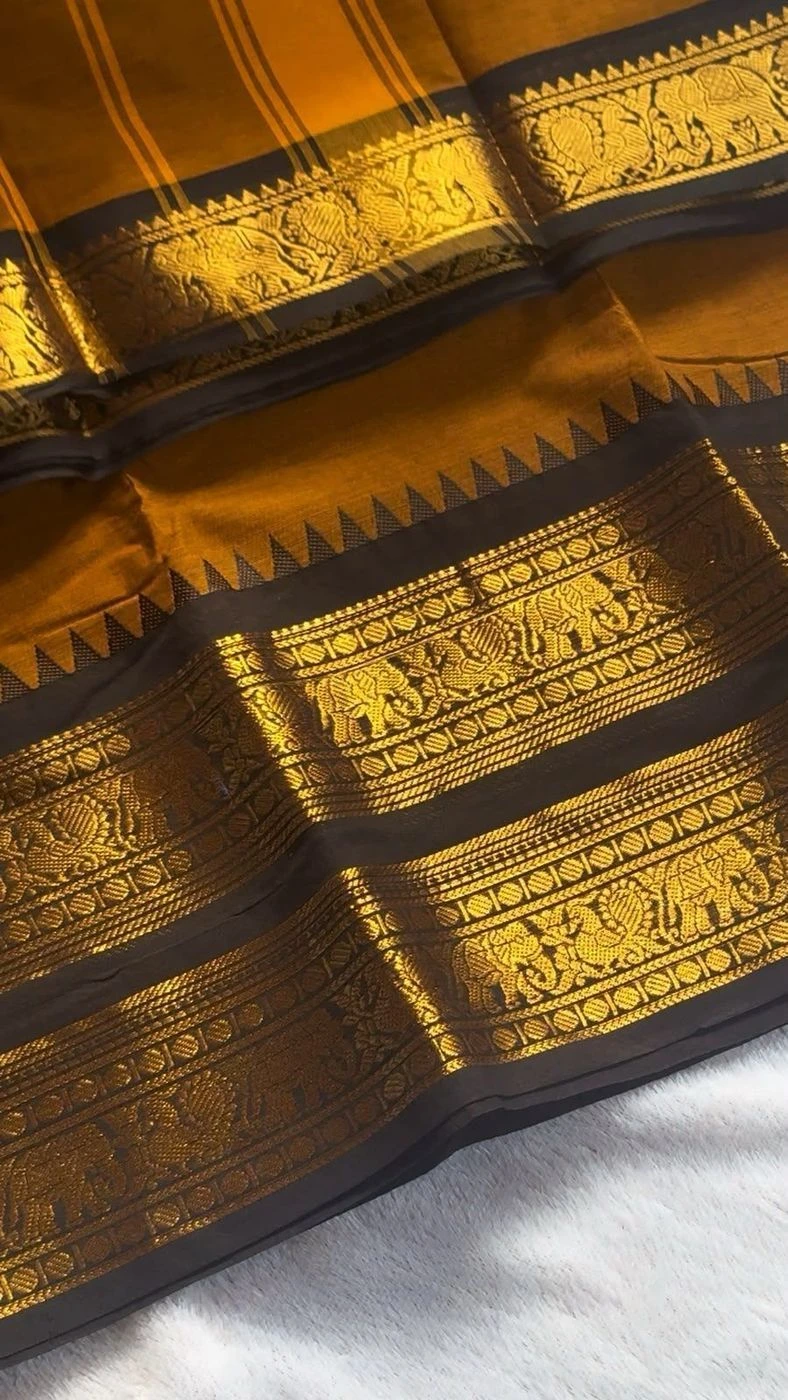 Kanchi cotton