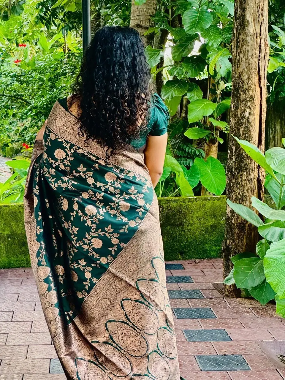 Semi banarasi 1
