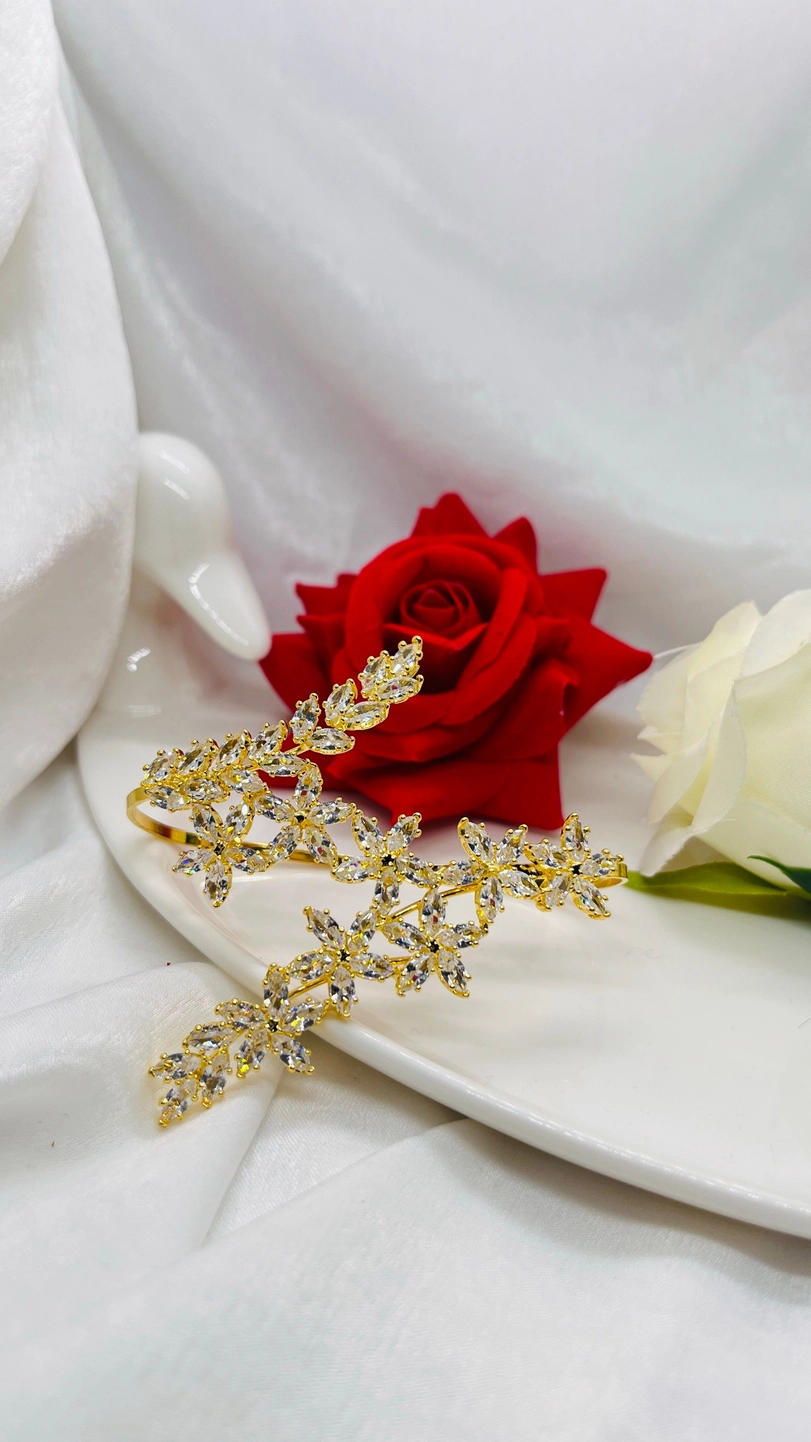 HC6456 Free shipping