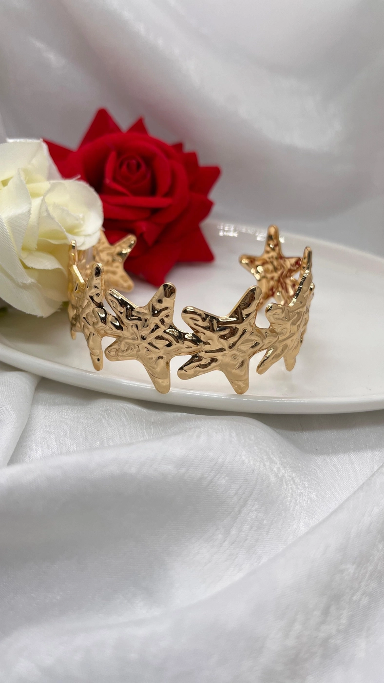 BK089176 Free shipping 2