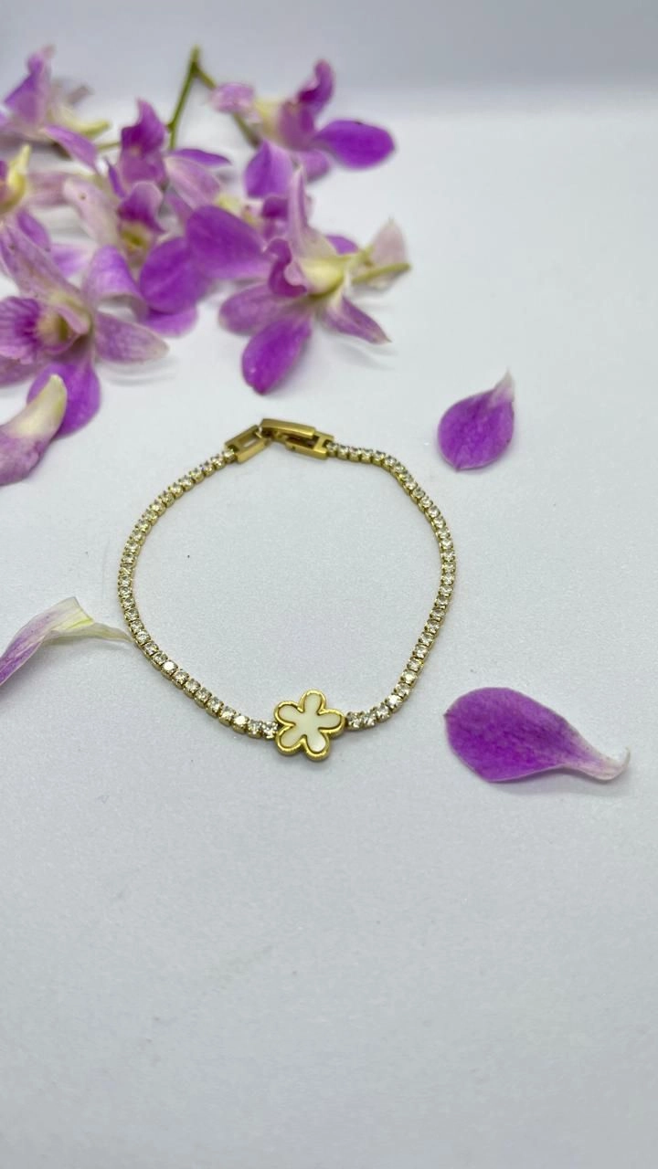 BR195252 Free shipping