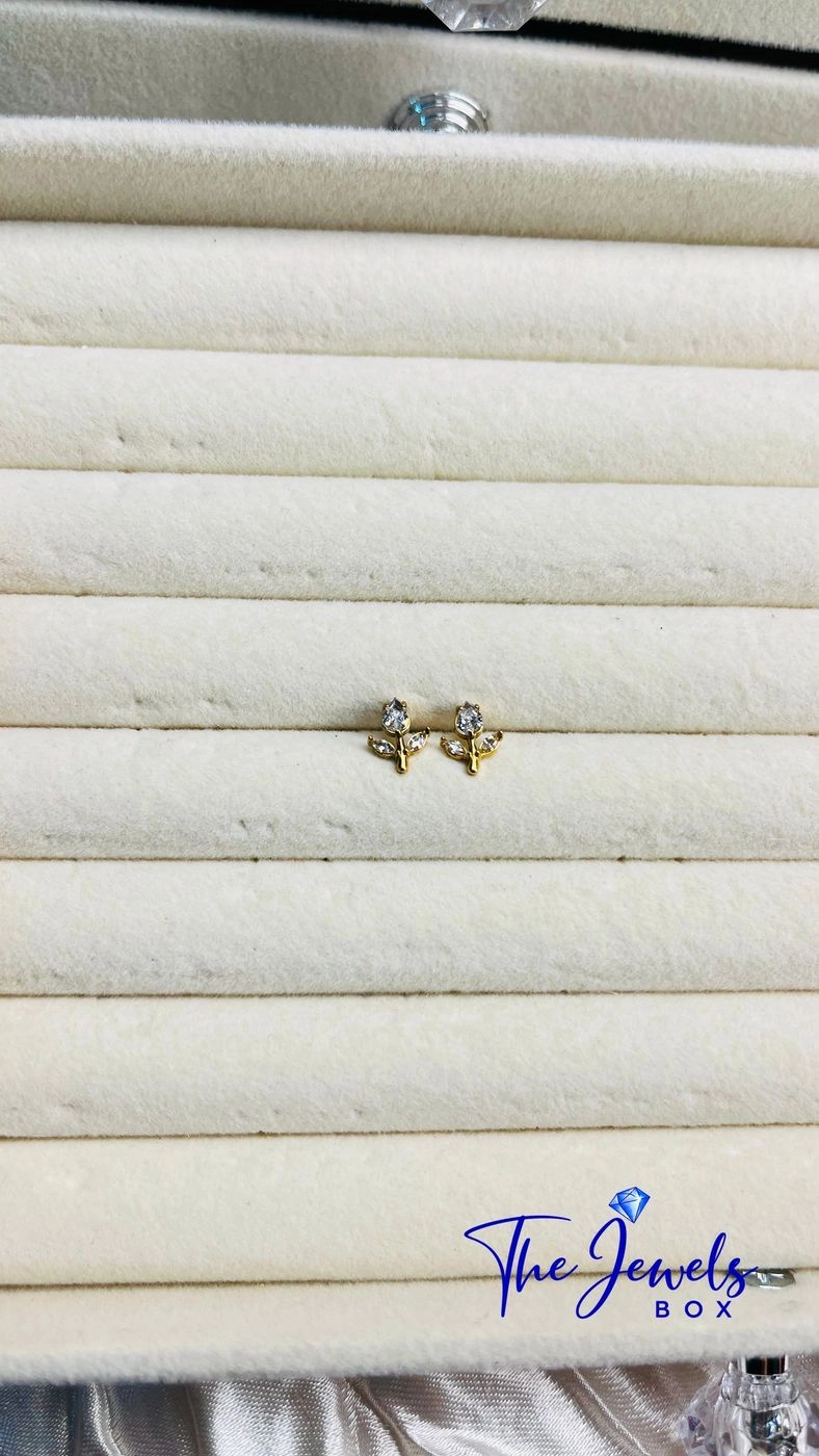 ER1625269 freeship