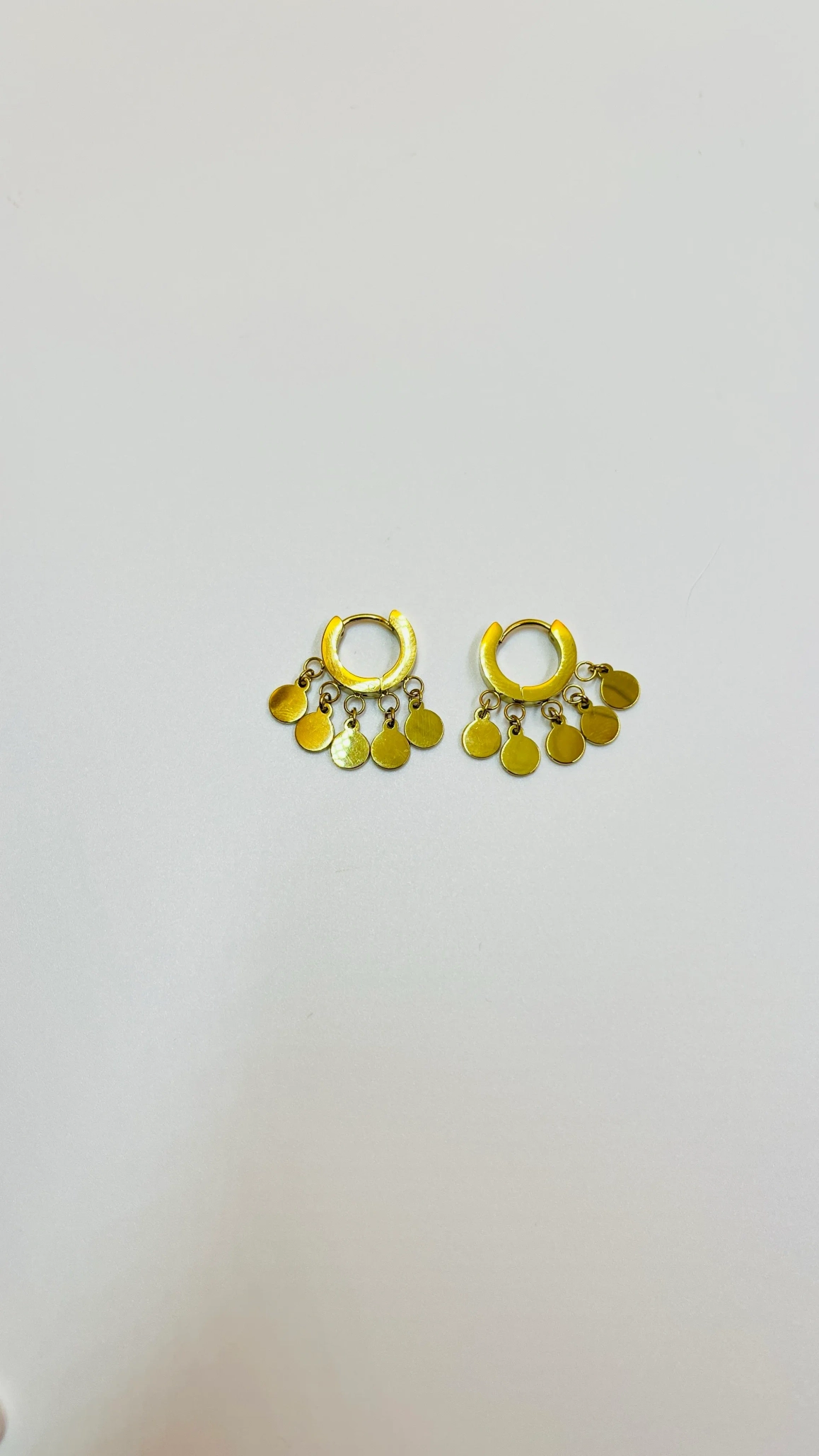 HOOP COIN EARING