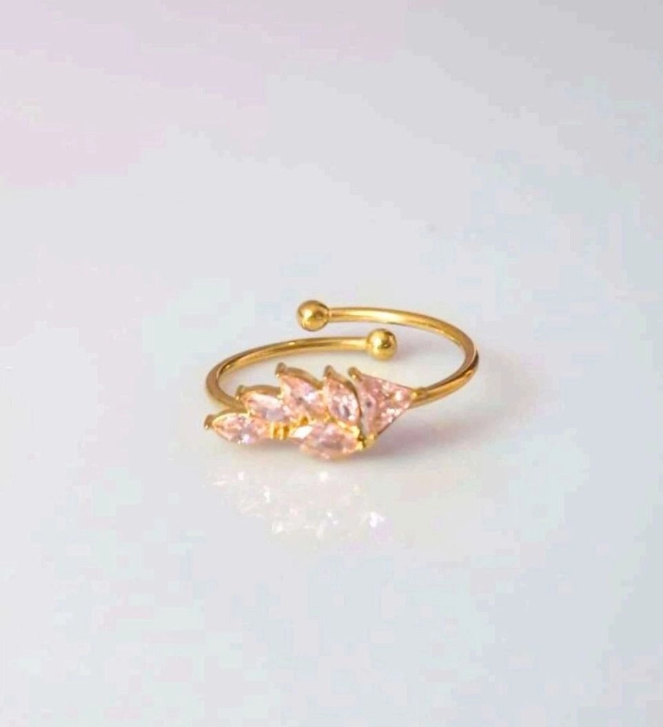 Antitarnish Ring