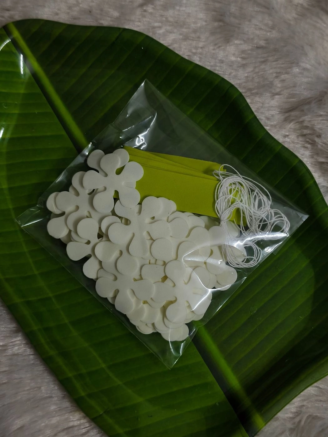 Jasmine Kit 2