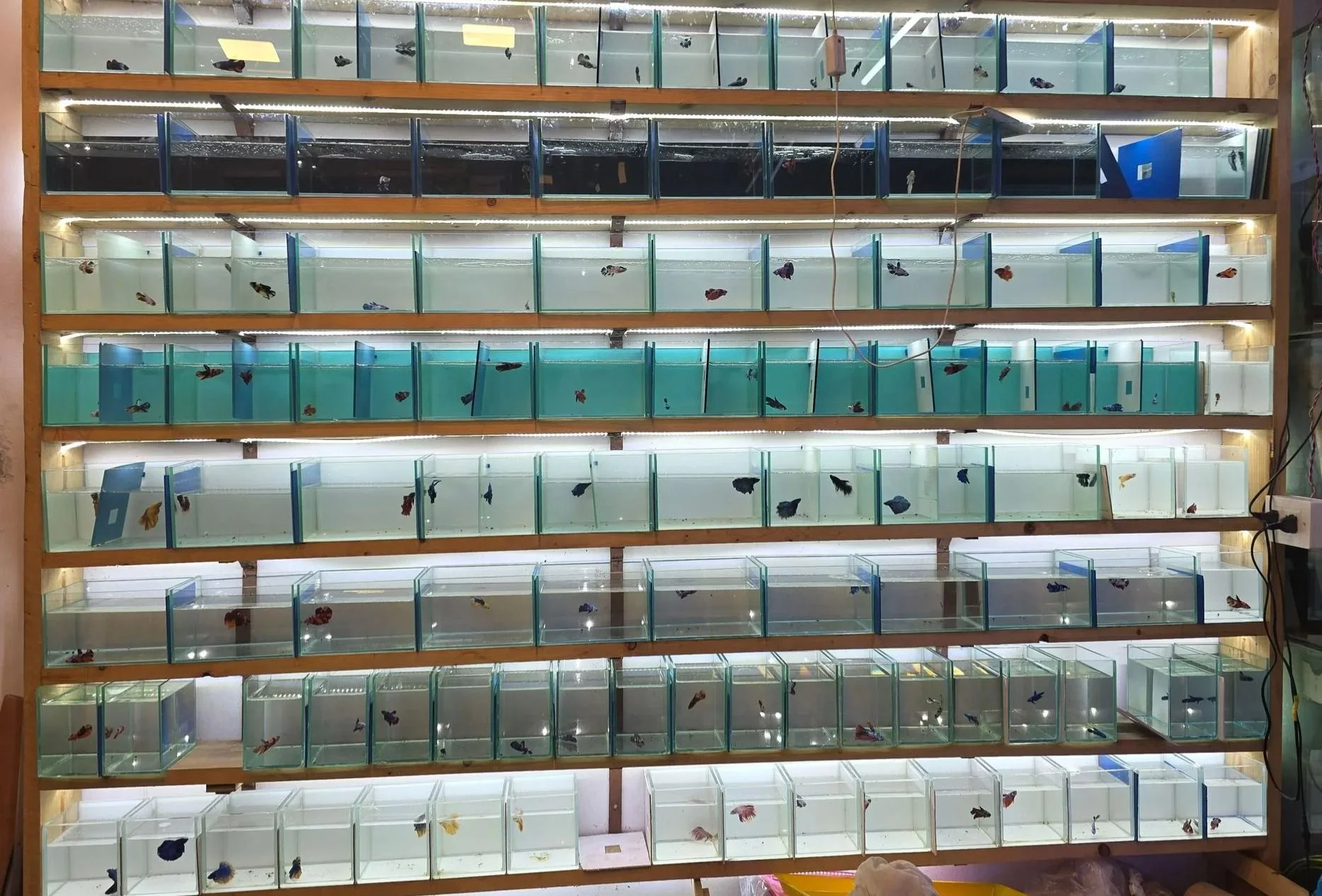 Welcome to Our Store