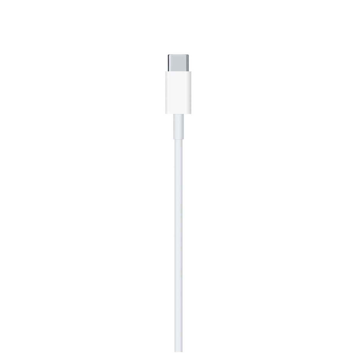 USB-C to Lightning Cable (1m)