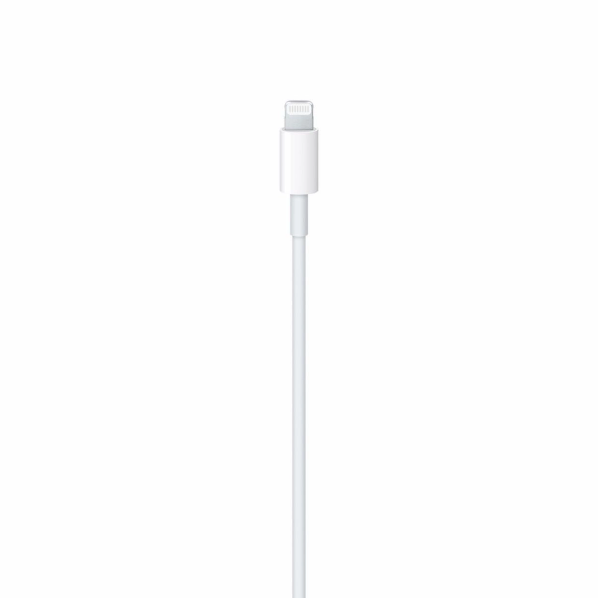 USB-C to Lightning Cable (1m)