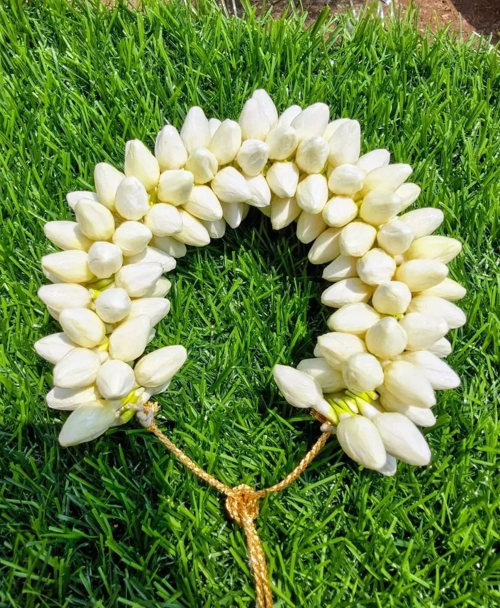 The Art of Eternal Jasmine