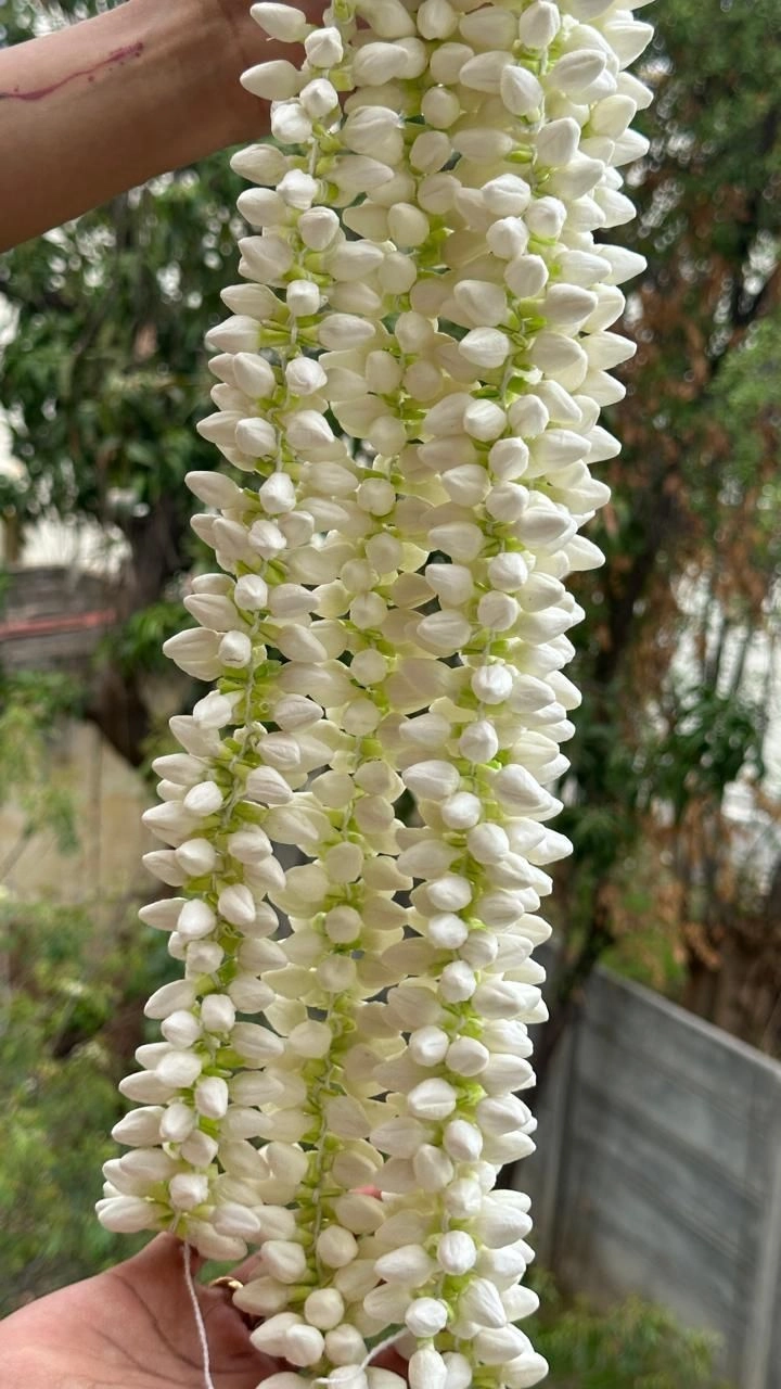 Sample Product 3