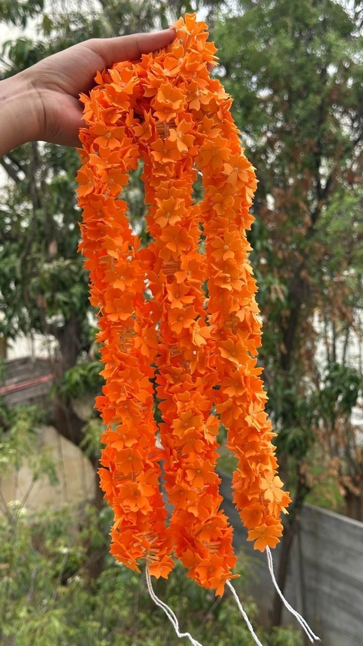 Kanagambaram
