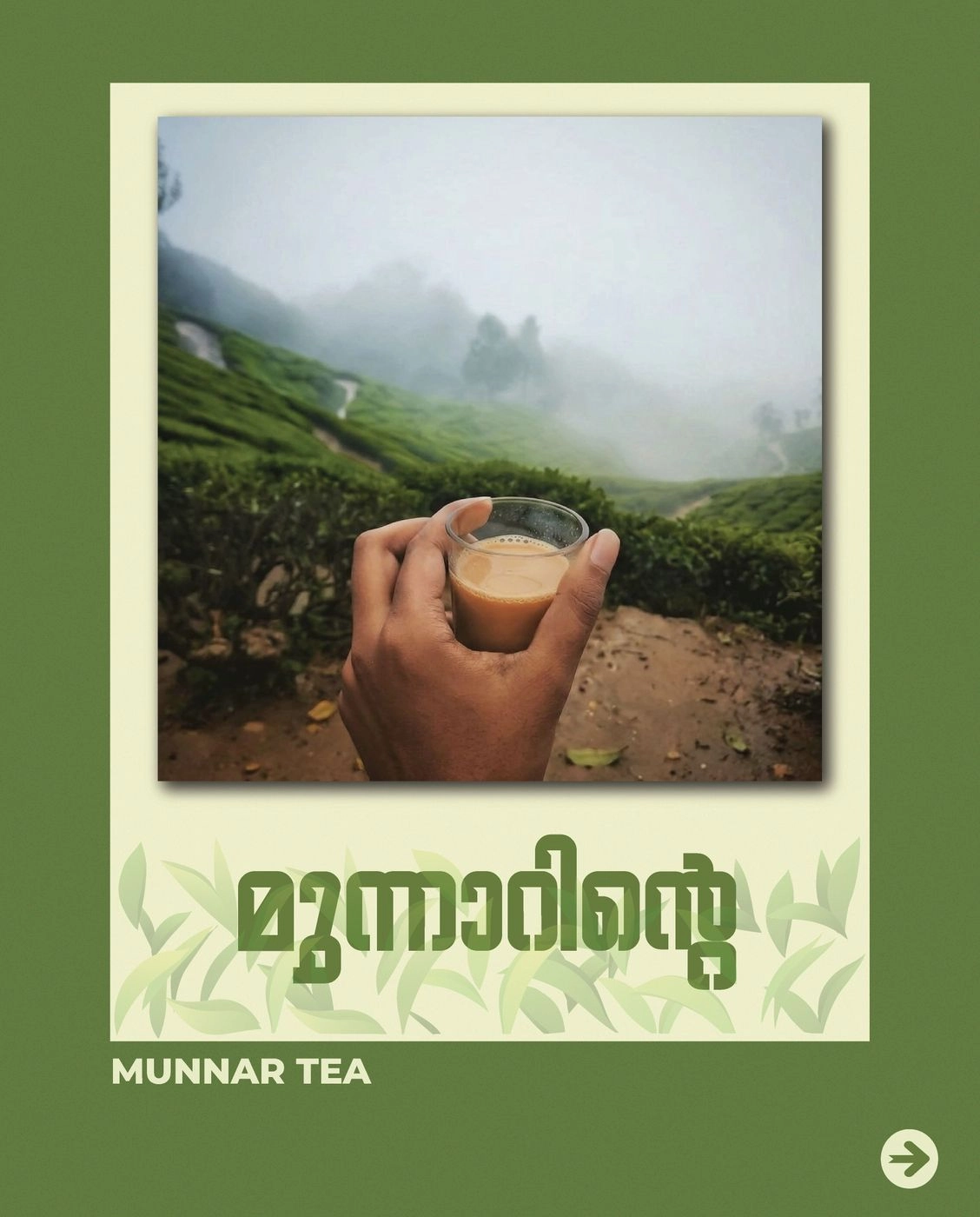 Munnar Tea Powder (Dust) 3