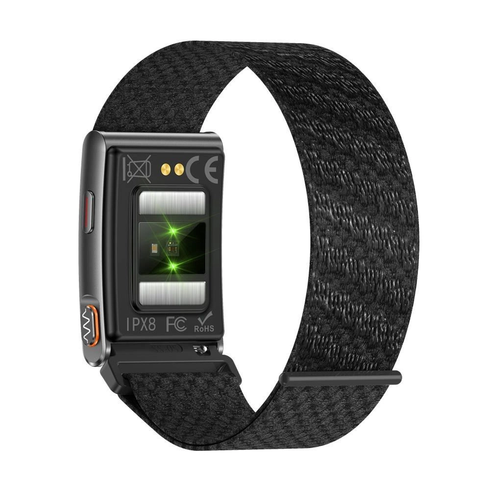 OEM Screenless Fitness Band 2