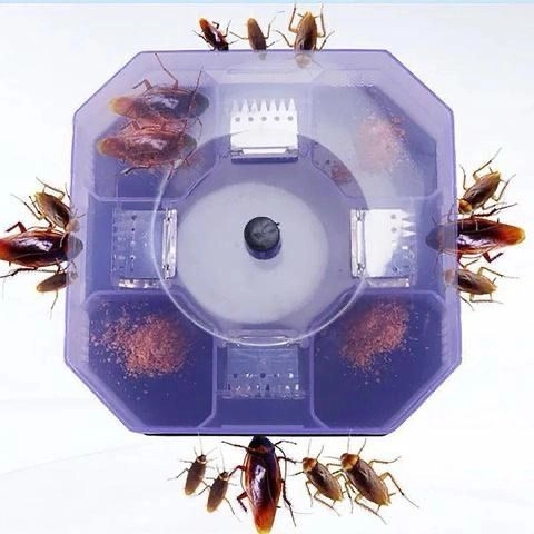 Cockroach Traps Box Cockroach Bug Roach Catch Cockroach Killer
