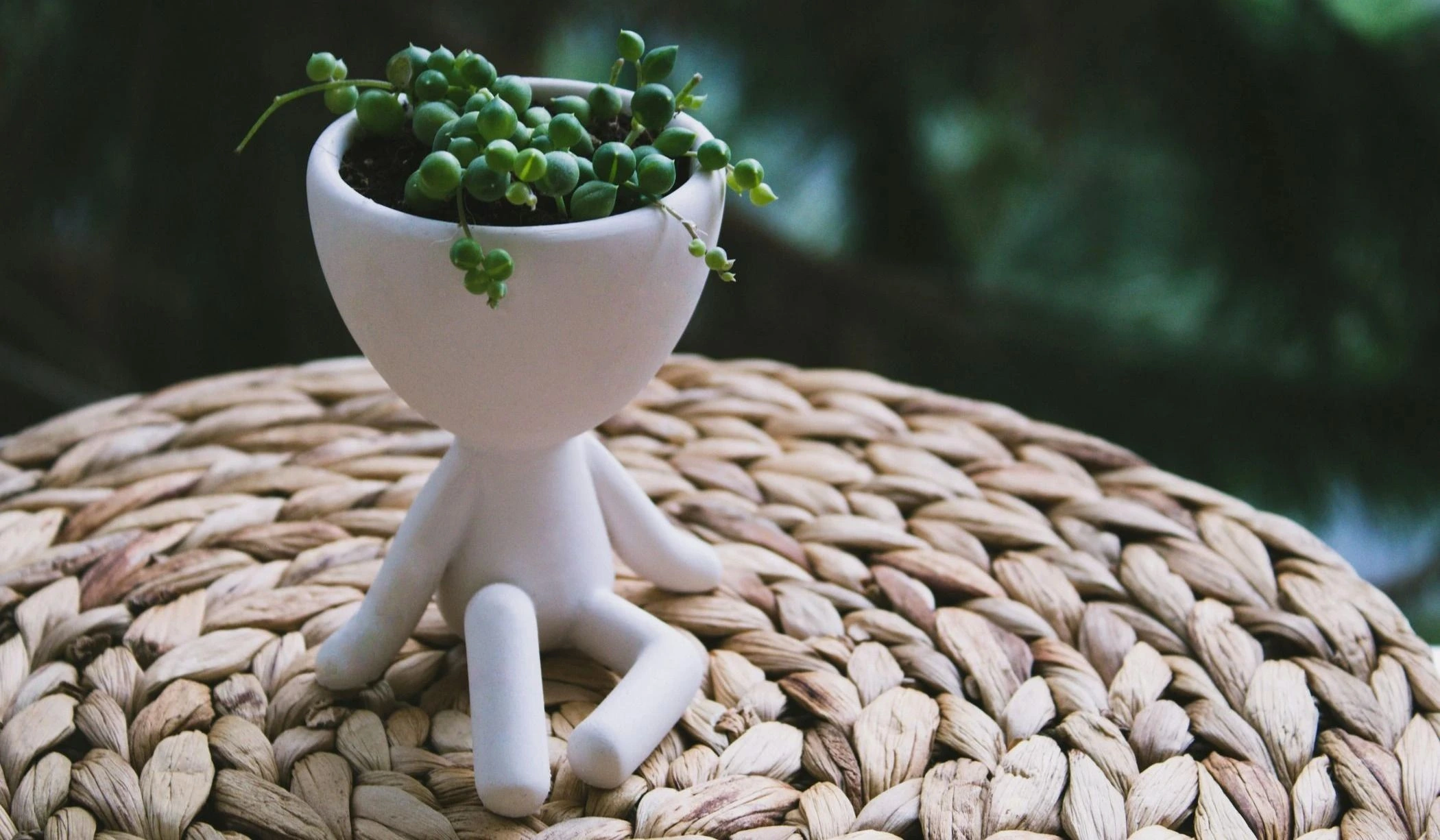 Ceramic Pots