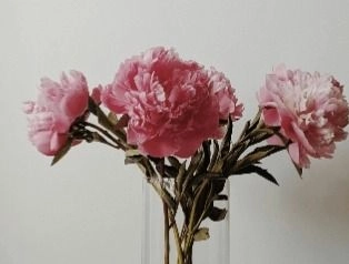 Artifishal plant