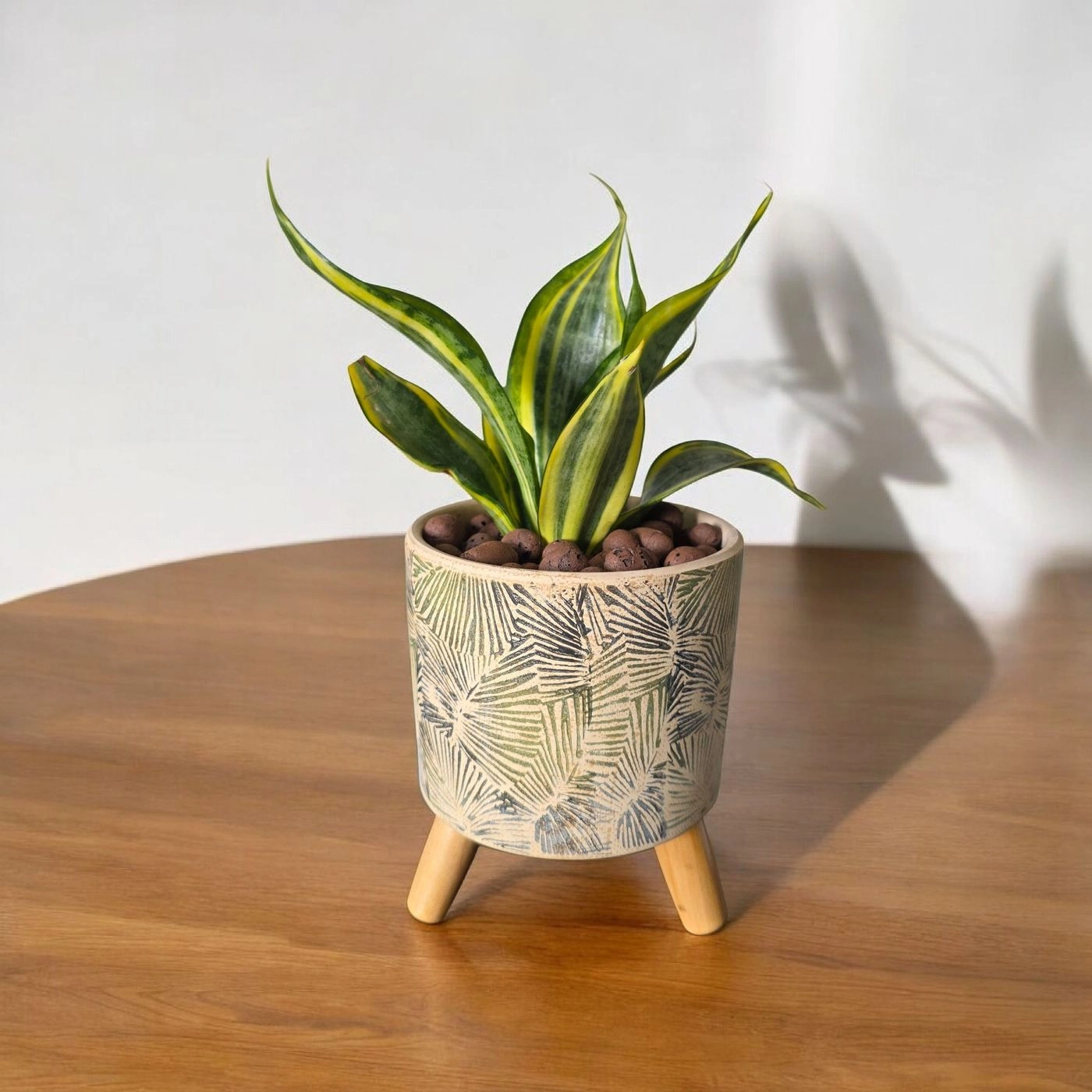Ceramic pot & plant cp41