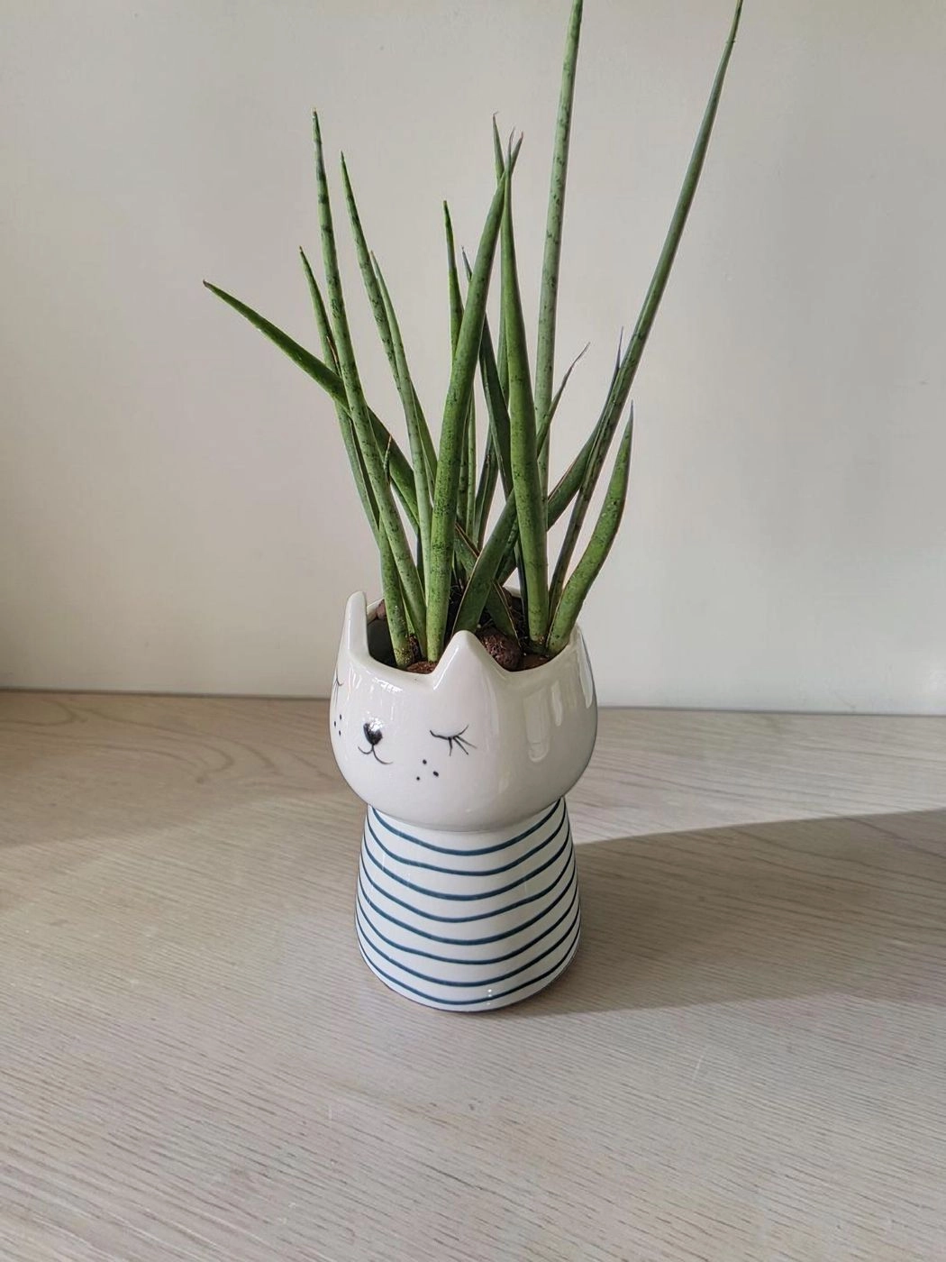Ceramic pot & plant cp48