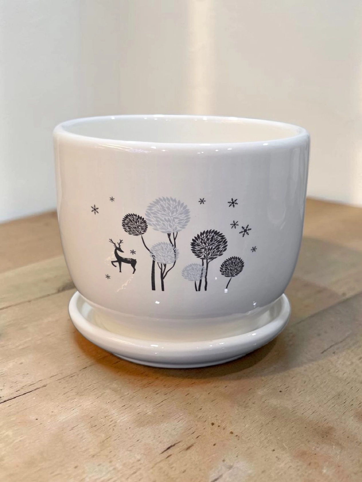 Ceramic pot cp62
