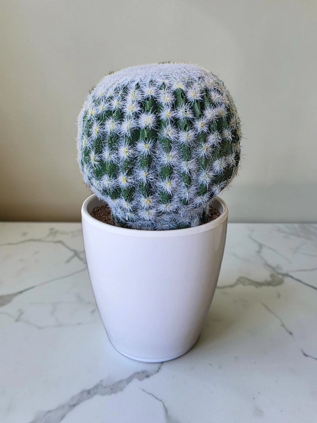 Plastic pot &plant cp81
