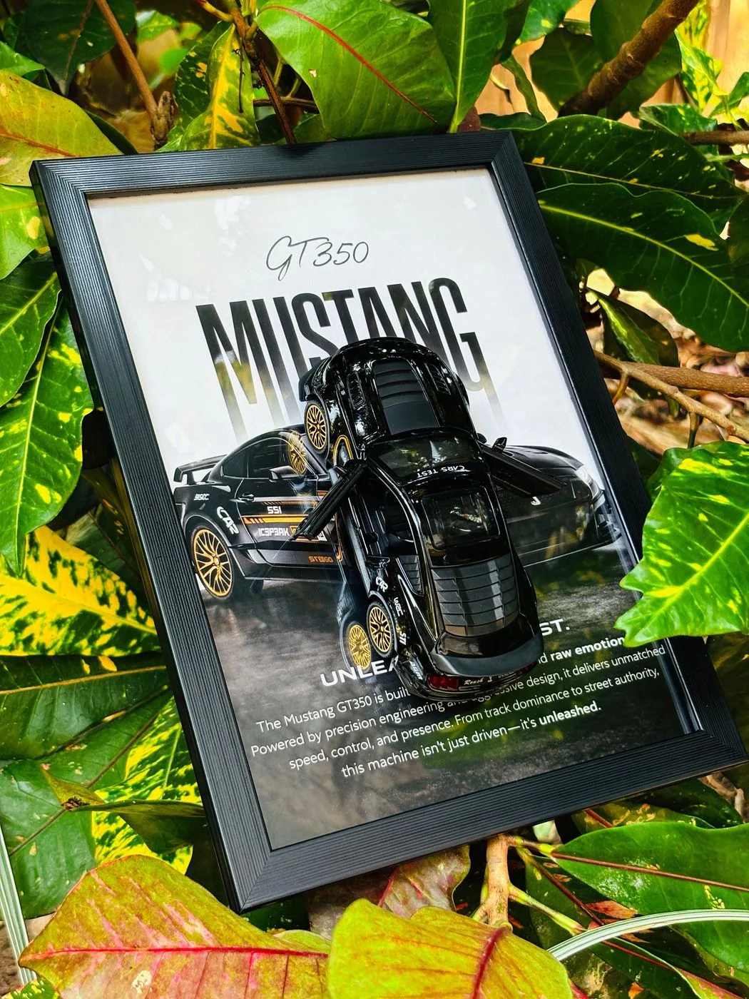 Ford Mustang GT350 Frame – Black Gold Shelby Edition 🖤✨ (Full Scale Model) 2