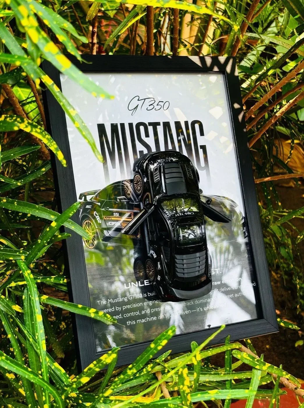 Ford Mustang GT350 Frame – Black Gold Shelby Edition 🖤✨ (Full Scale Model) 1
