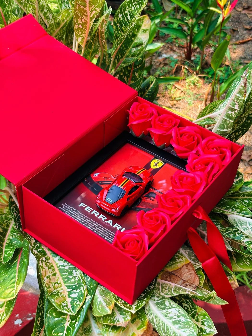 Ferrari car frame in hamper 2