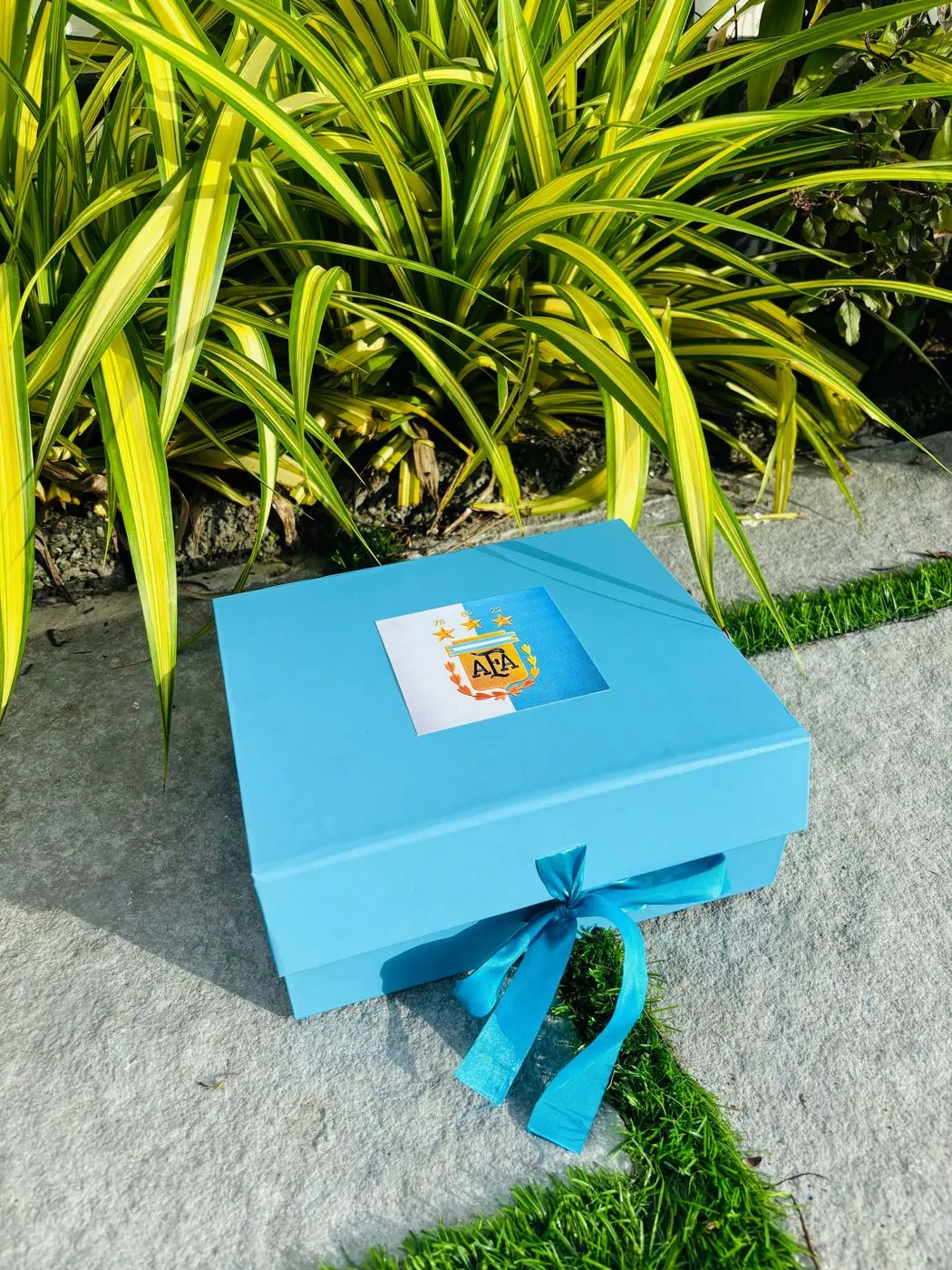 Argentina jersey hamper 1