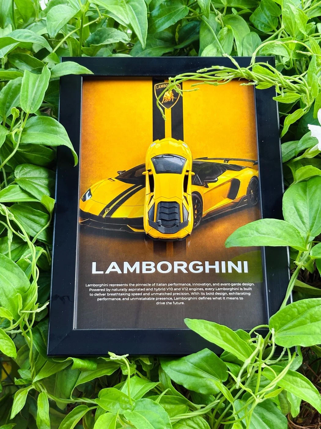 Lamborghini Aventador SV Collector Display Frame – Giallo Orion Edition