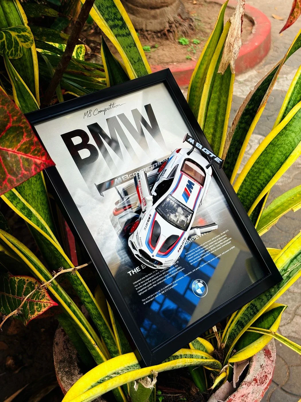 BMW M8 Competition – Motorsport Edition 🤍 2