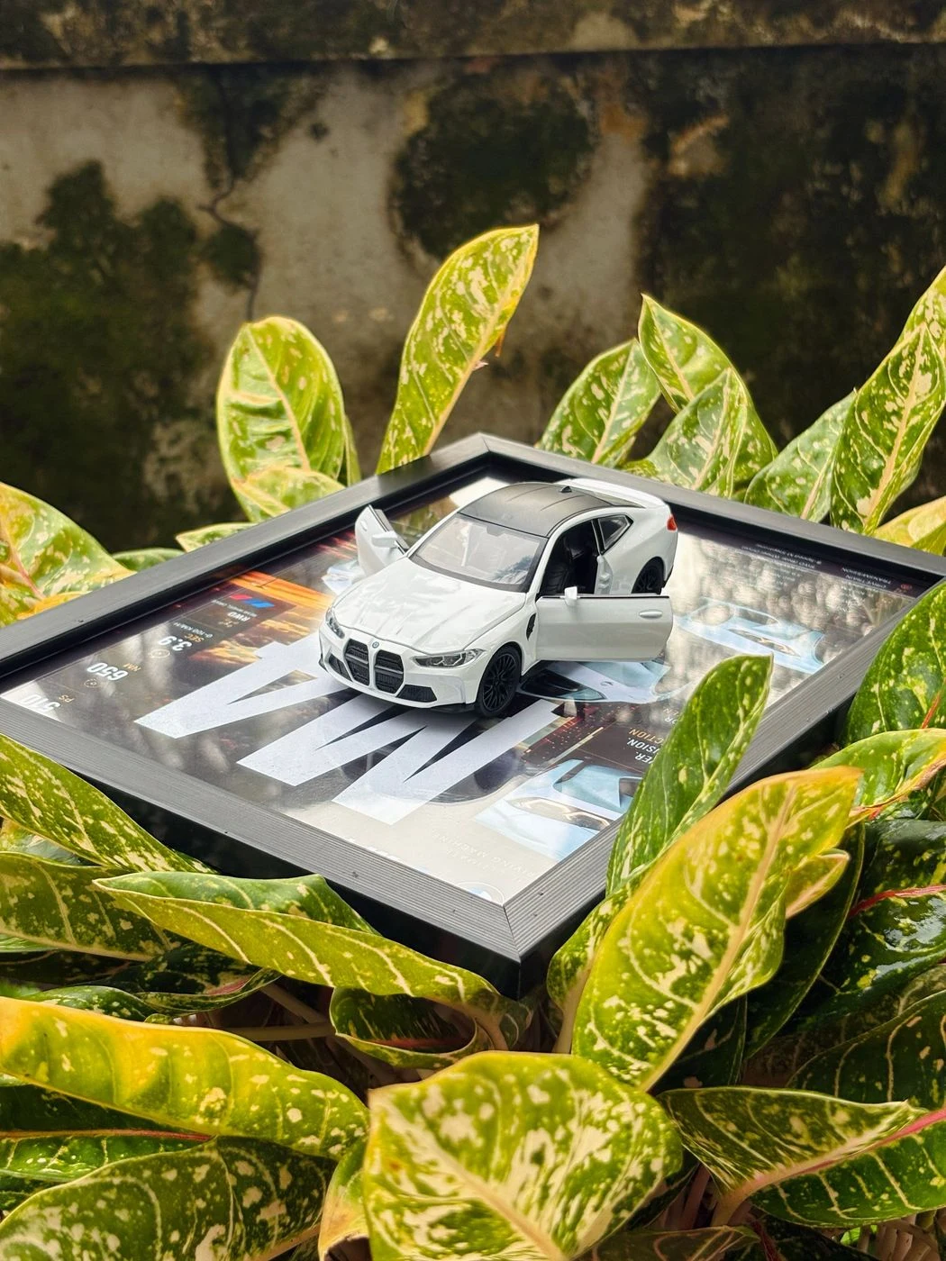 BMW M4 Frame – Pearl White Edition 🤍 2