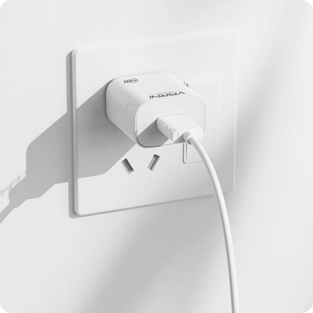 Home charger (adaptor)