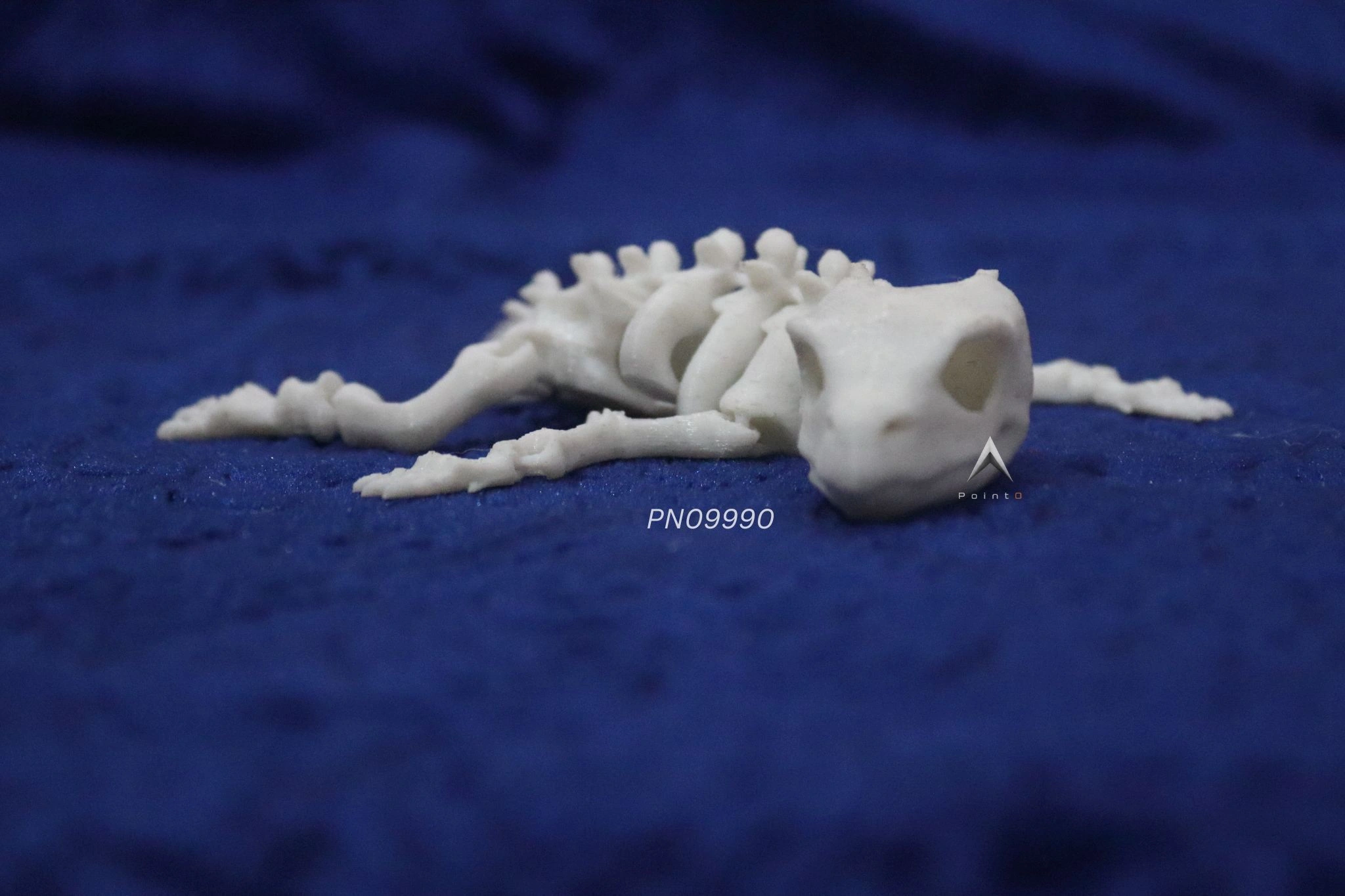 LIZARD SKELETON TOY. 1
