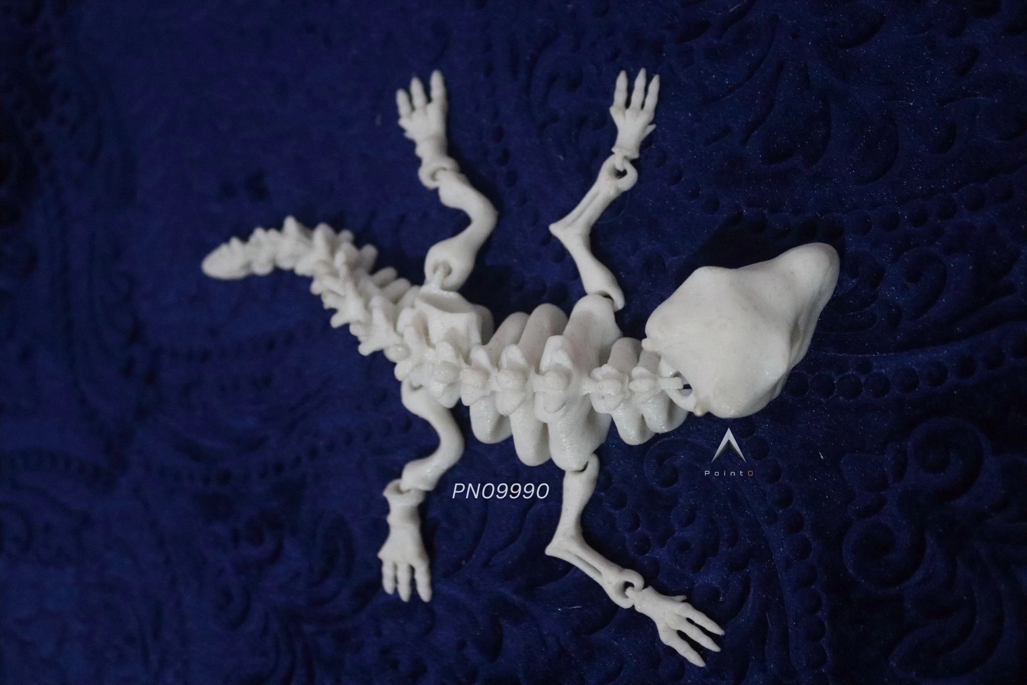 LIZARD SKELETON TOY. 2