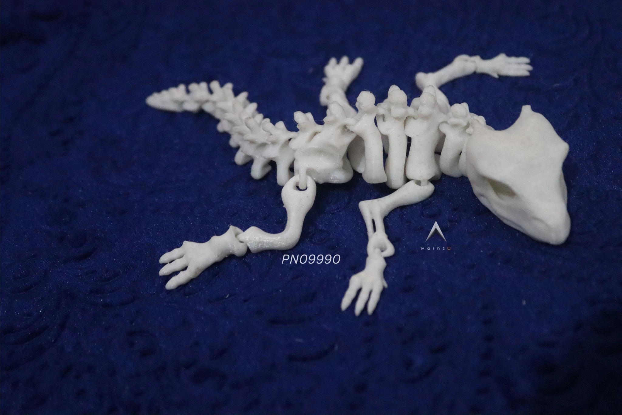 LIZARD SKELETON TOY. 3