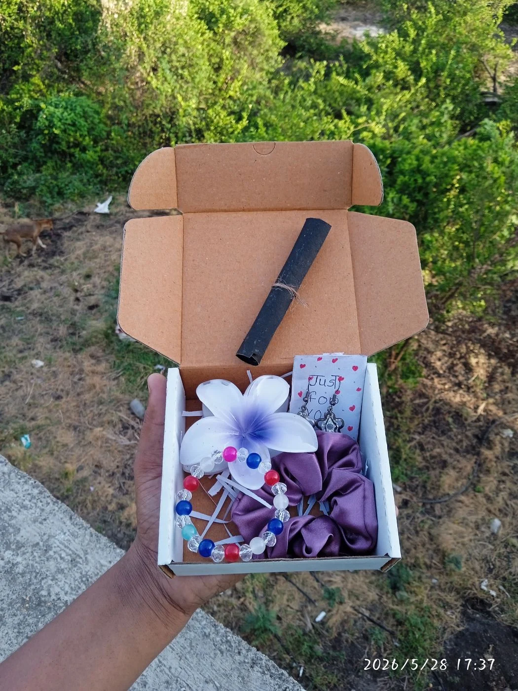Purple Box of Happiness