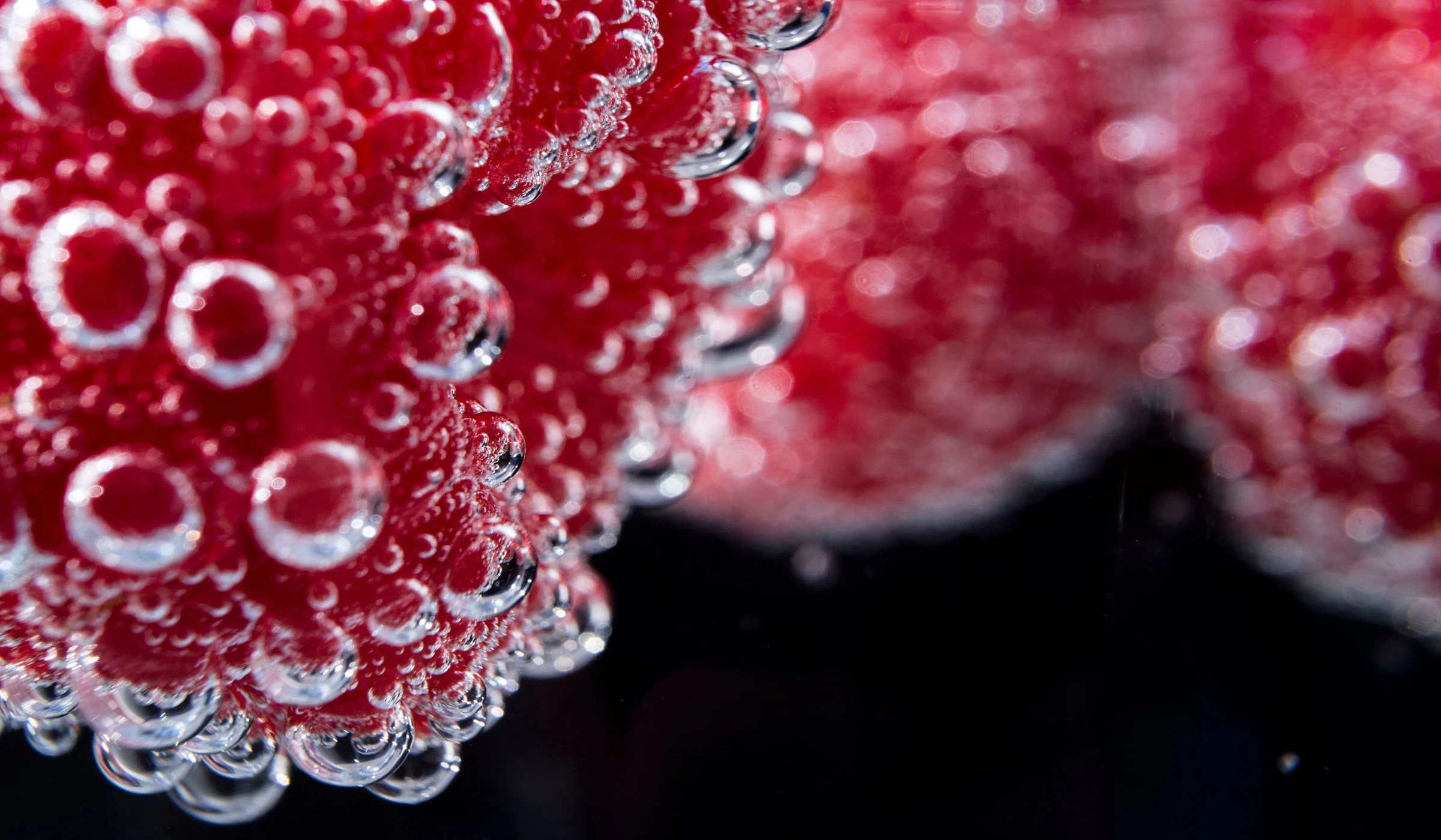 Glut A Fizz