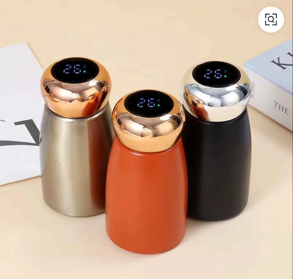 Premium Stainless Steel Insulated Water Bottle 300 ml 3
