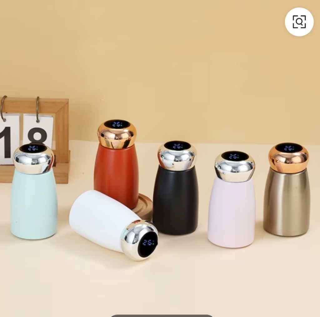 Premium Stainless Steel Insulated Water Bottle 300 ml 4